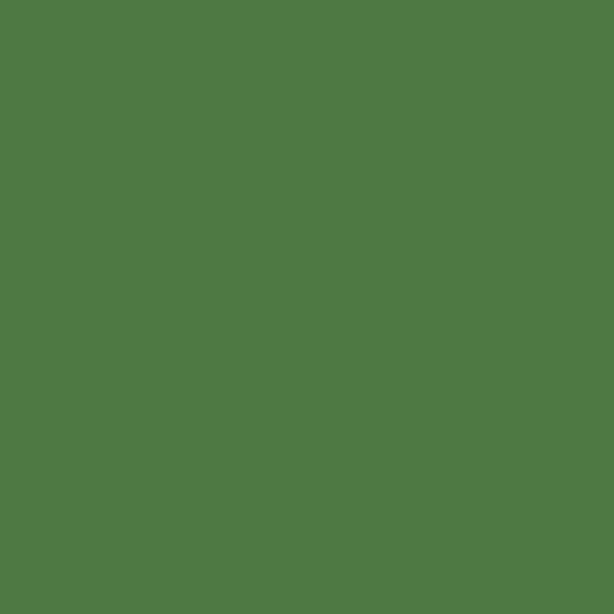 fern-green image